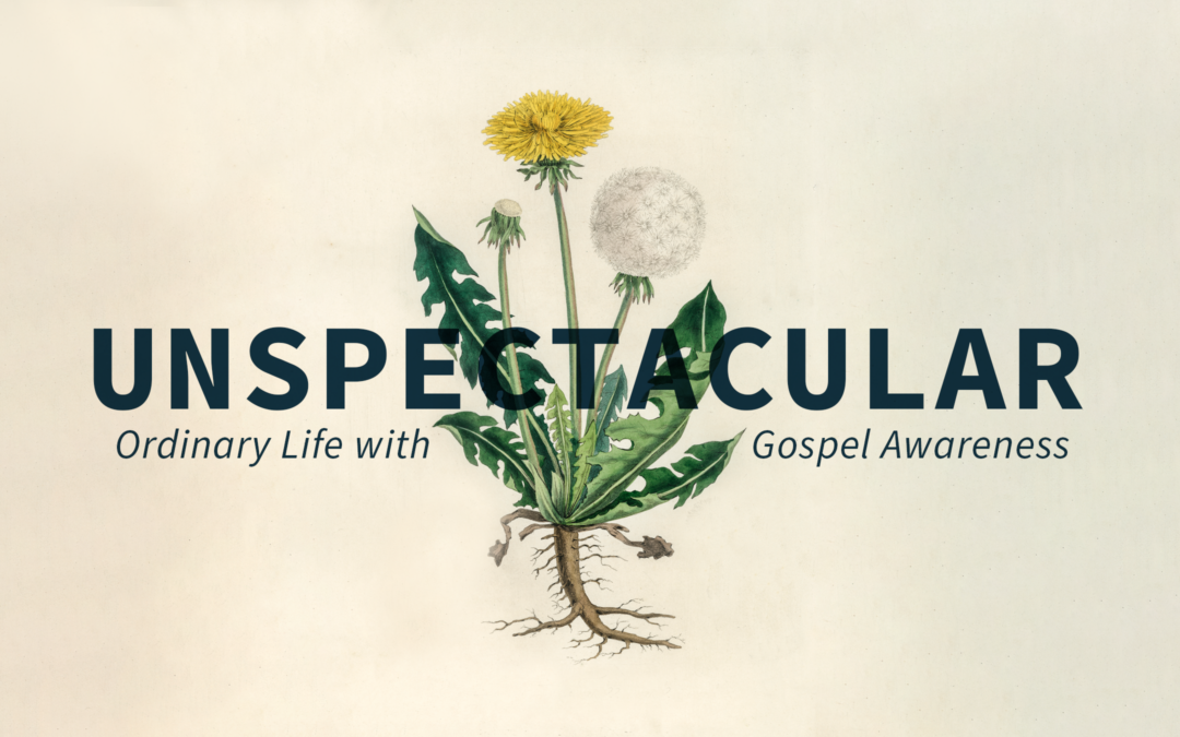 Unspectacular